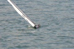 IMG_0384