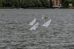 Regata-del-8-Settembre-2019-settembre-08-2019-13-FILEminimizer